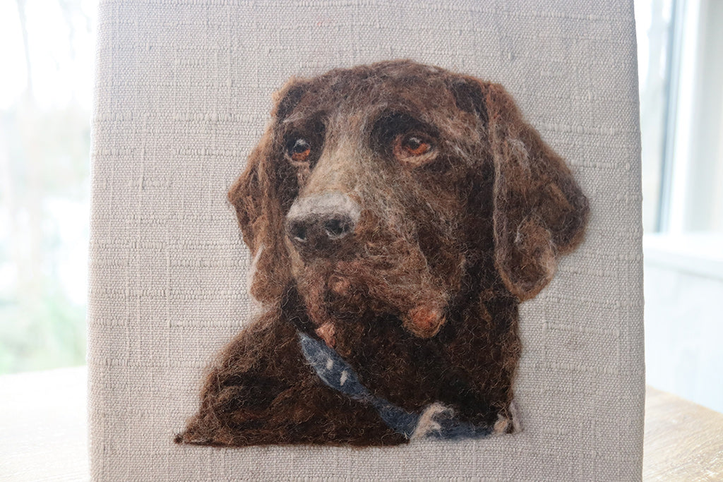 Chocolate Lab