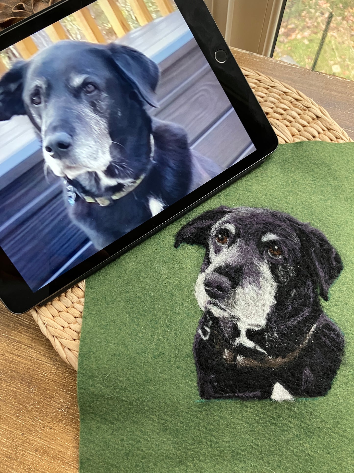 Custom Needlefelted Pet Portrait
