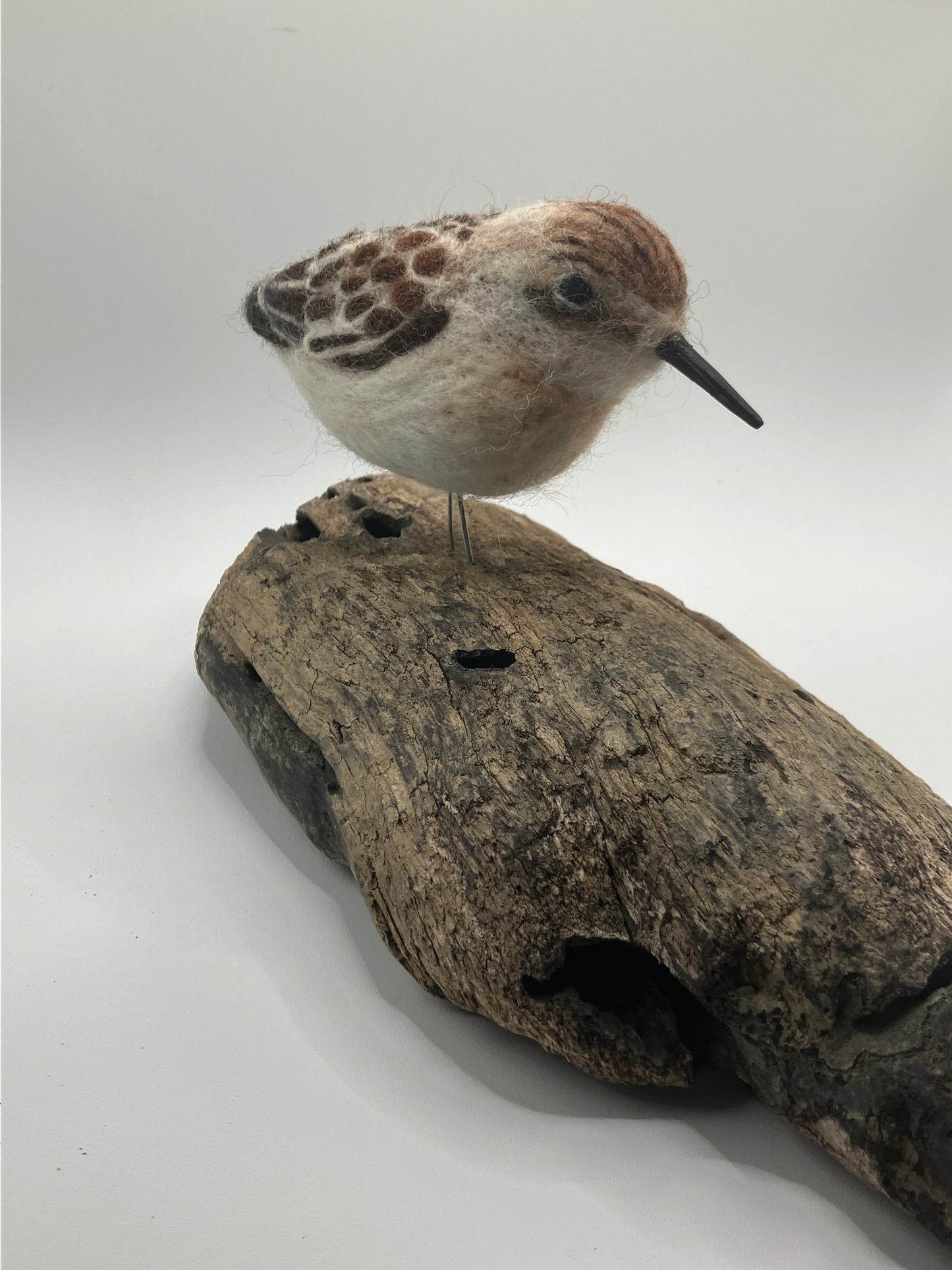 Needlefelt Art Sandpiper on Driftwood