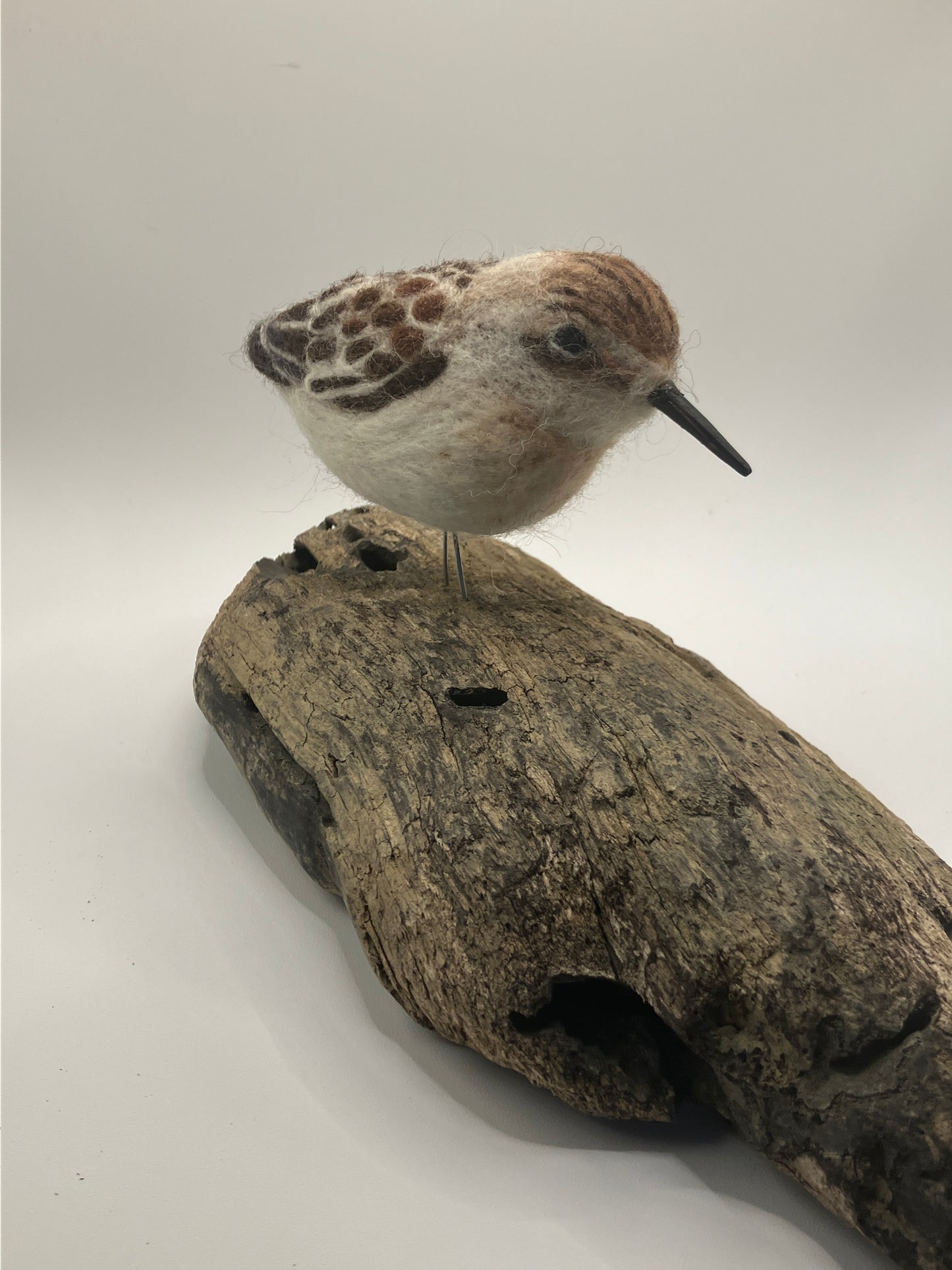 Needlefelt Art Sandpiper on Driftwood