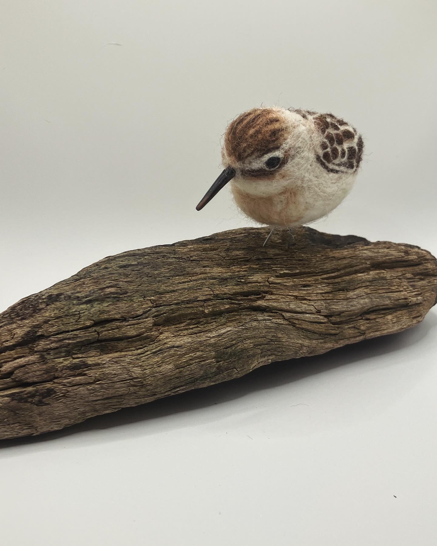 Needlefelt Art Sandpiper on Driftwood