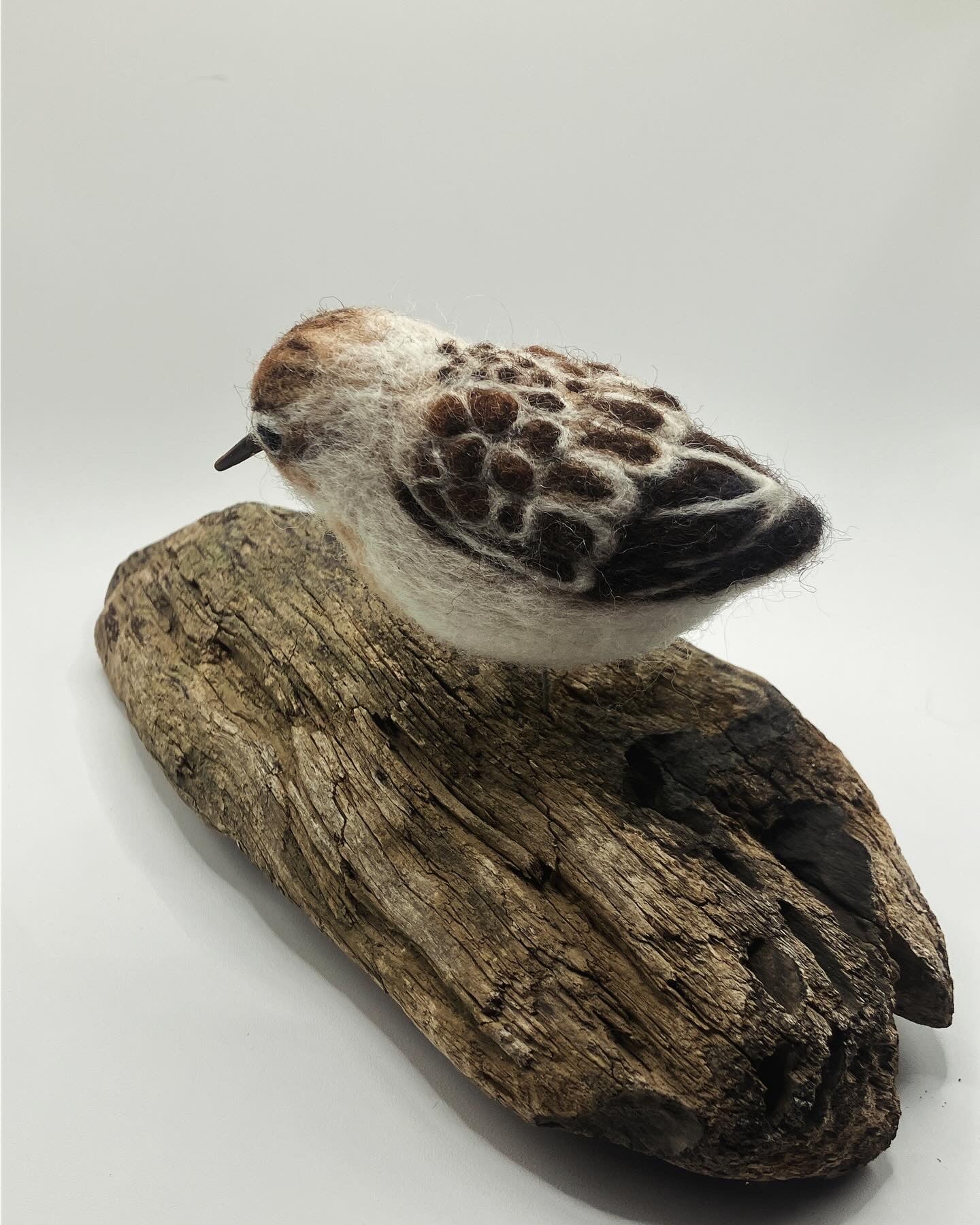 Needlefelt Art Sandpiper on Driftwood